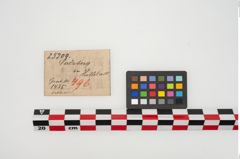 Etikett zu Bronzemehrkopfnadel (NHMW-PRAE-025209)